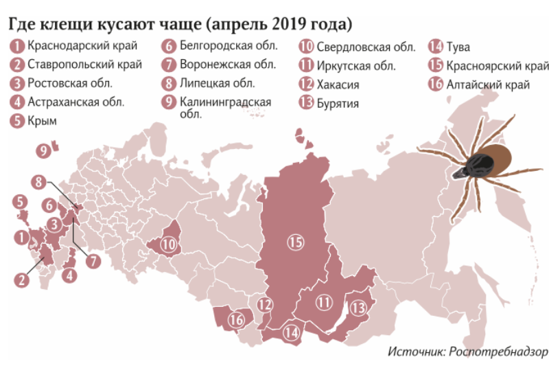 Эпидемиологическая карта клещей