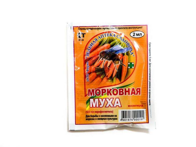 Морковная муха на грядке: как с ней бороться, эффективные препараты