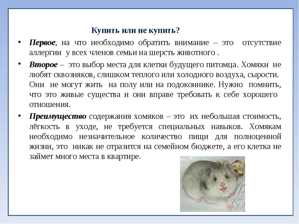 Сколько лет живут крысы: домашние и дикие грызуны
