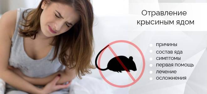 Крысиный яд – особенности применения, действия при отравлении
