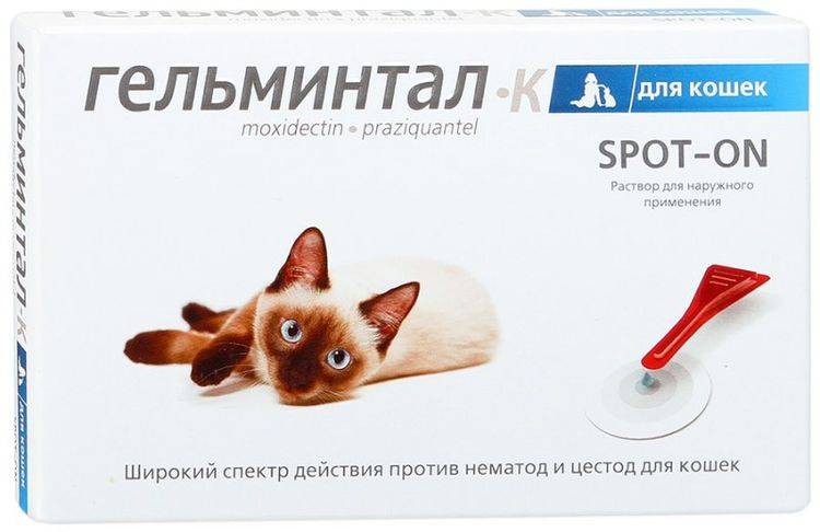 Таблетки от глистов для кошек