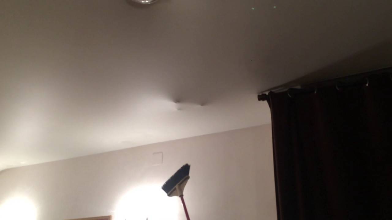 Способы избавиться от мышей под натяжным потолком. мыши в натяжном потолке
