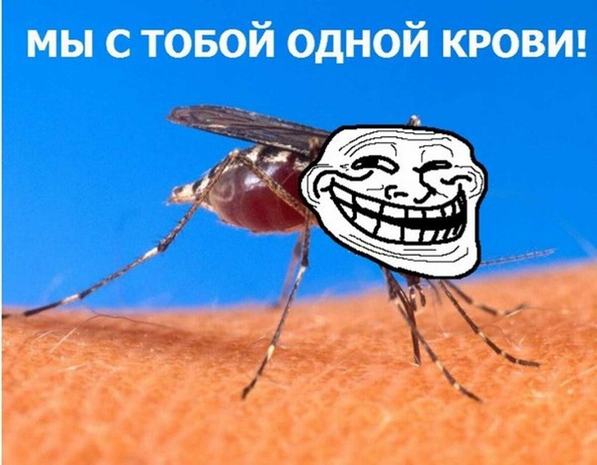 Комары — интересные факты