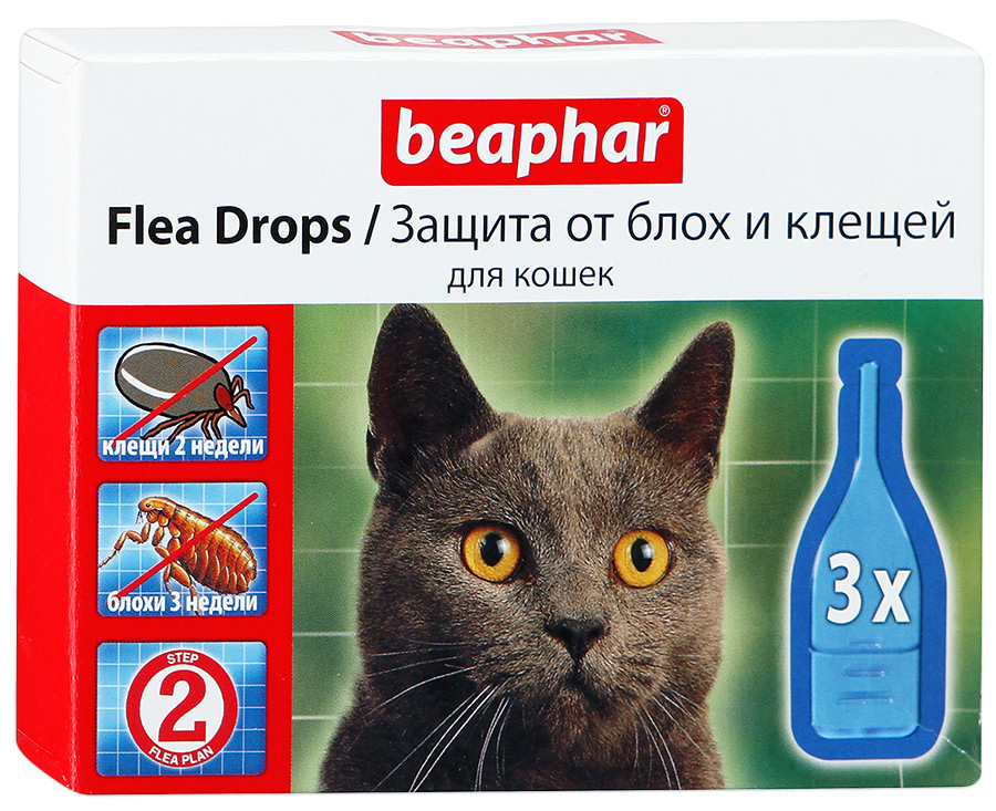 10 лучших средств от клещей для кошек и котят – таблетки, ошейники, спреи, капли на холку, шампуни, инъекции