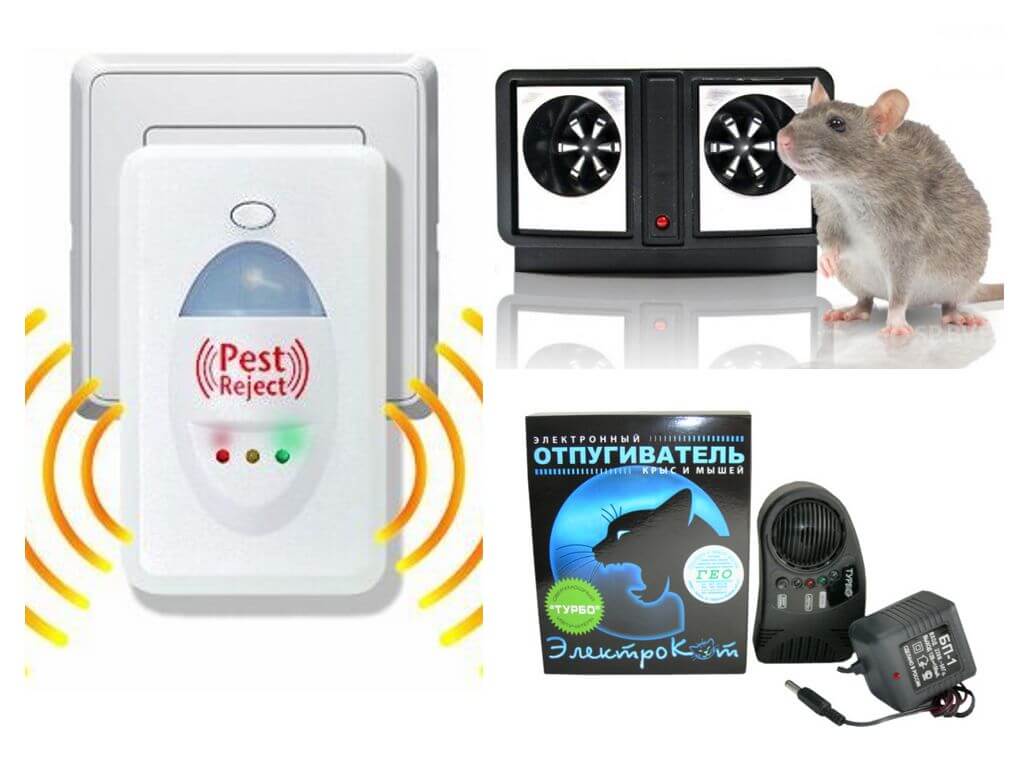 Отпугиватель крыс и мышей ультразвуковой: какой лучше выбрать, отзывы