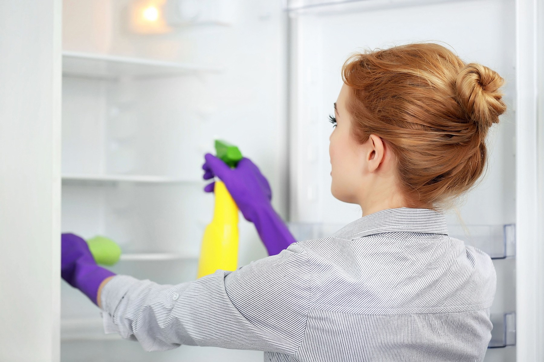 Как убрать запах плесени в холодильнике. чем отмыть от грибка
