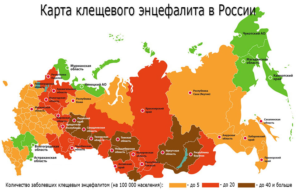 Карта клещей, Россия: список областей, в которых господствуют энцефалитные «кровососы»