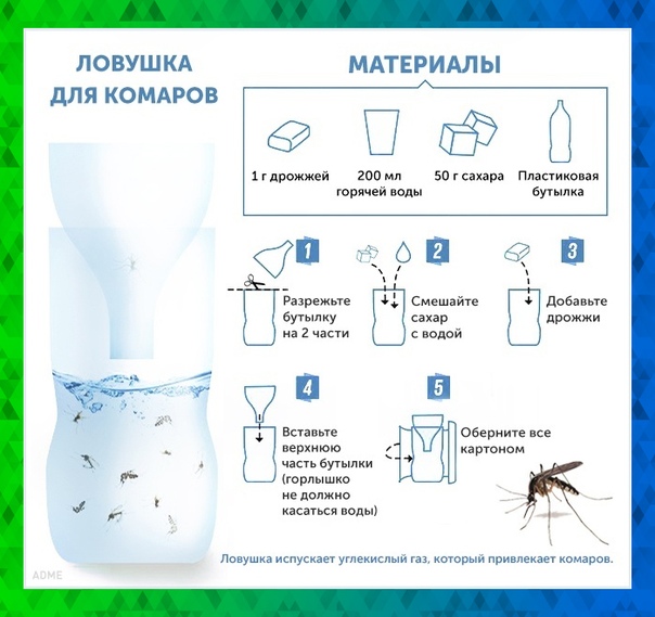 Ловушки для комаров как выбрать или сделать своими руками
