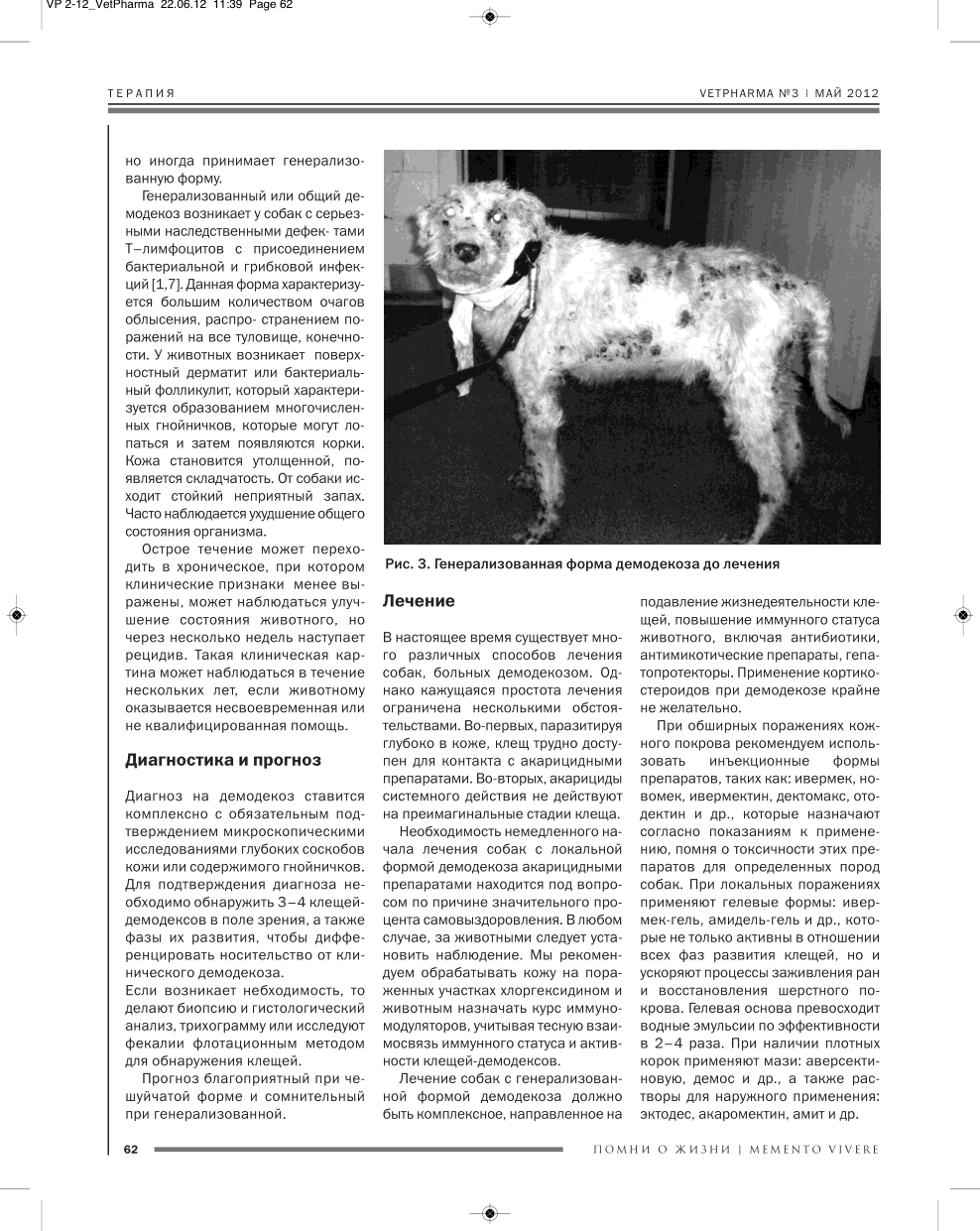Демодекоз у собак: причины, симптомы и лечение заболевания