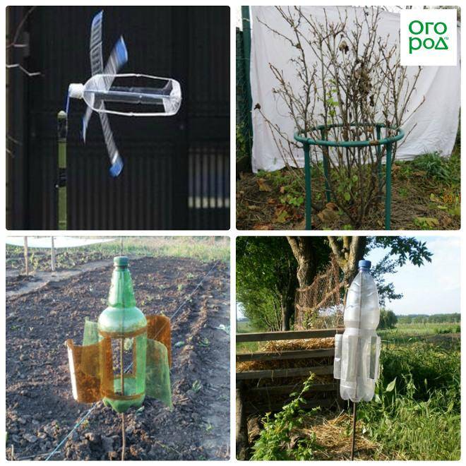 Для отпугивания птиц из сада и огорода можно сделать эффективное пугало из пластиковых бутылок