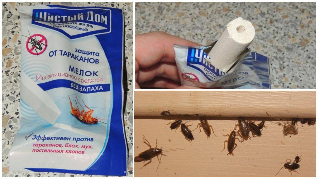 Мелок машенька от тараканов: как действует, способы применения