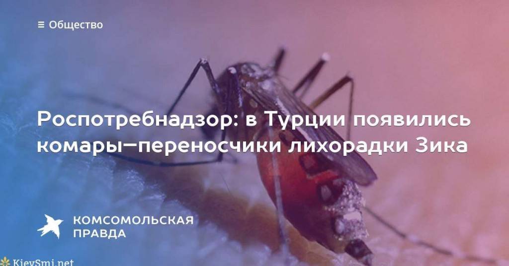 Есть ли комары в турции в июне и июле
