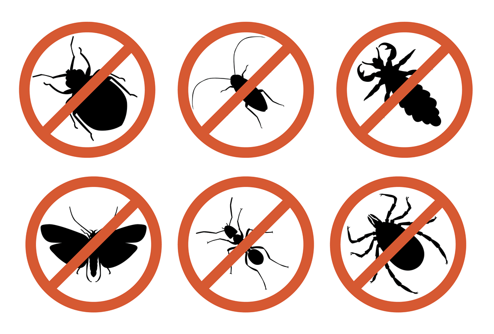 Костюм от мошки и комаров (защитная одежда - кольчуга) своими руками