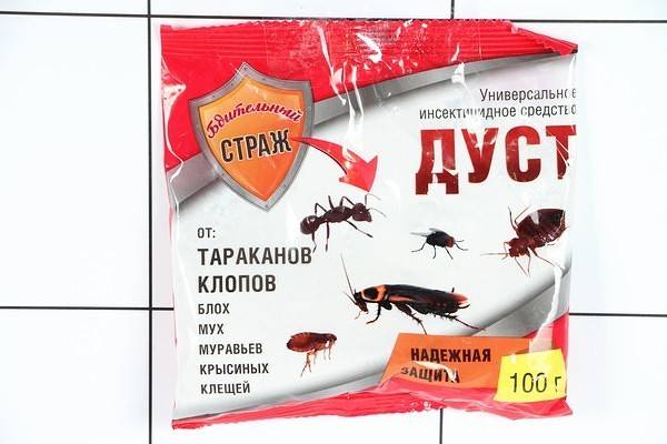 Дуст от тараканов – доступные средства для борьбы с насекомыми