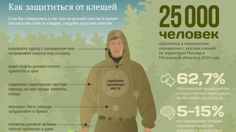 Клещи в подмосковье и москве в 2021 году: самые опасные районы