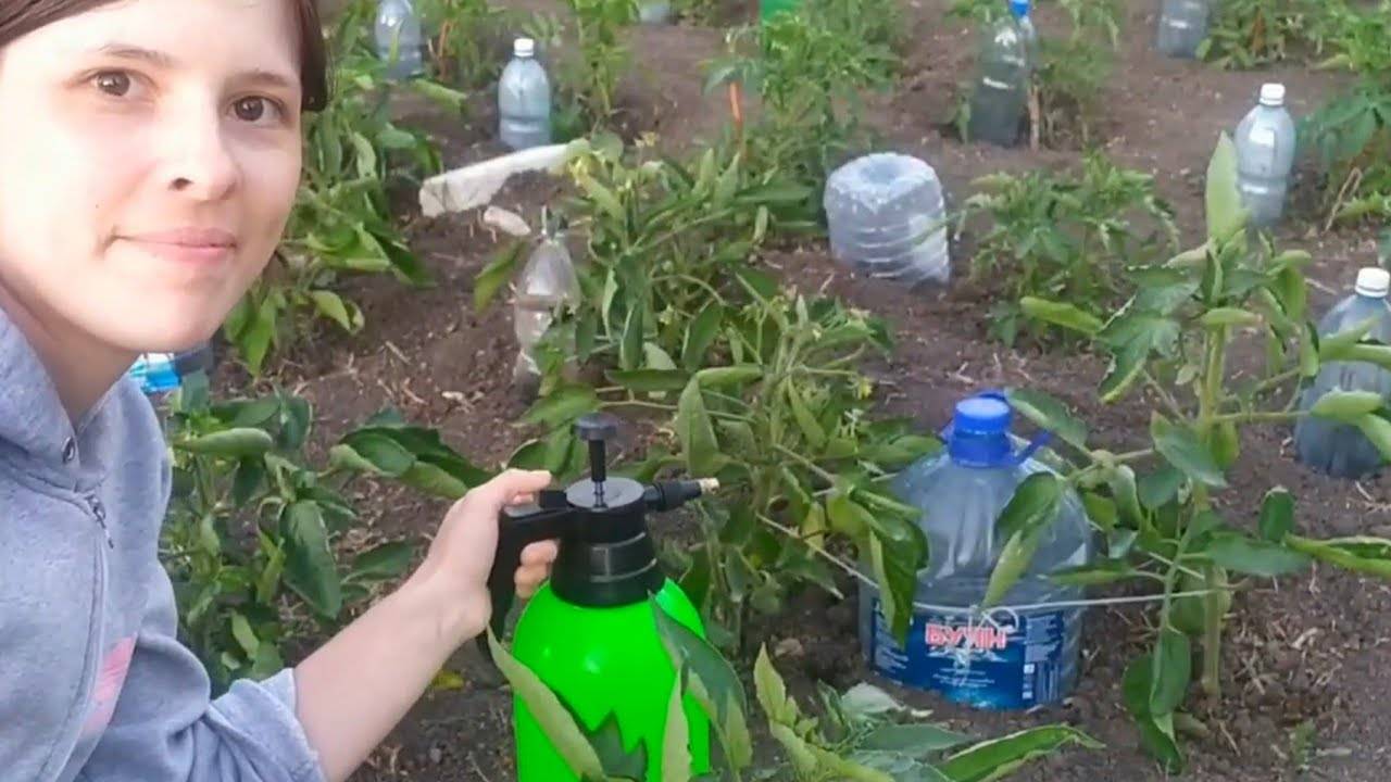 Разнообразное применение борной кислоты в огородничестве и садоводстве