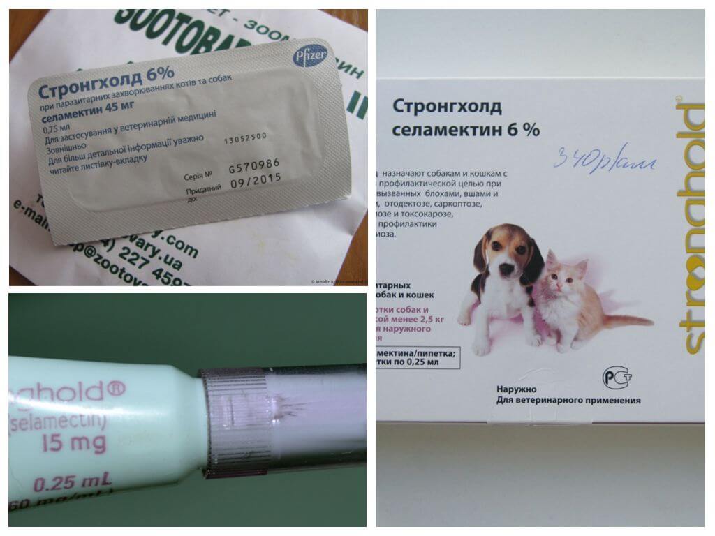 Лечение собаки препаратом стронгхолдом от блох, клещей и глистов