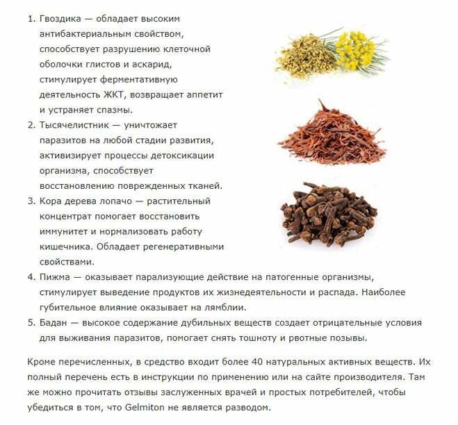 Глисты — 25 народных рецептов для избавления от паразитов