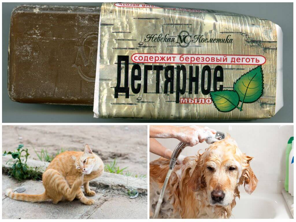 Дегтярное мыло от блох у кошек и собак – отзывы, инструкция по применению