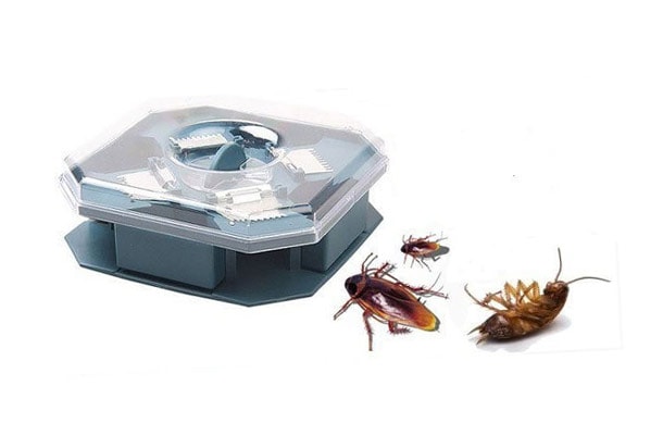 Обзор популярных ловушек для тараканов: липкие, электро-ловушки, ядовитые, как сделать своими руками