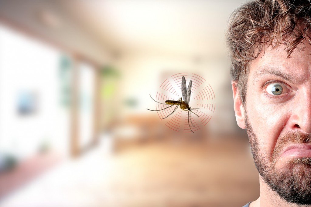 Что делать если таракан залез в ухо, что может случиться и как вытащить