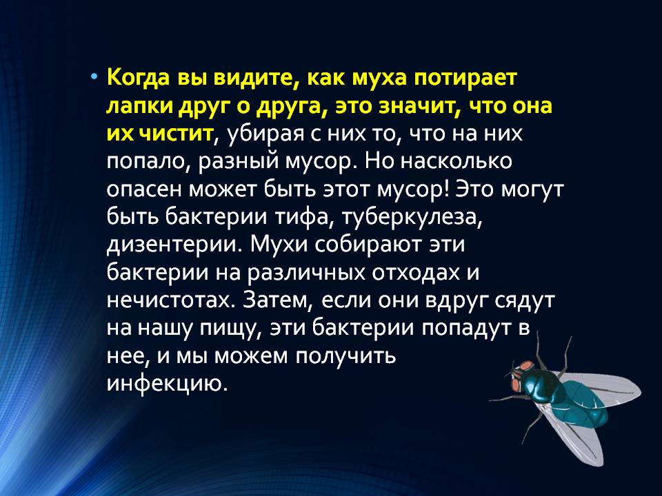 Для чего мухи потирают лапками? - hi-news.ru