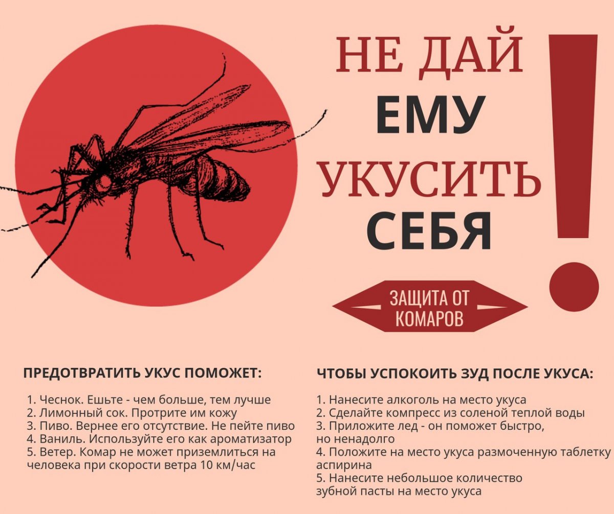 Что делать, если искусали комары?