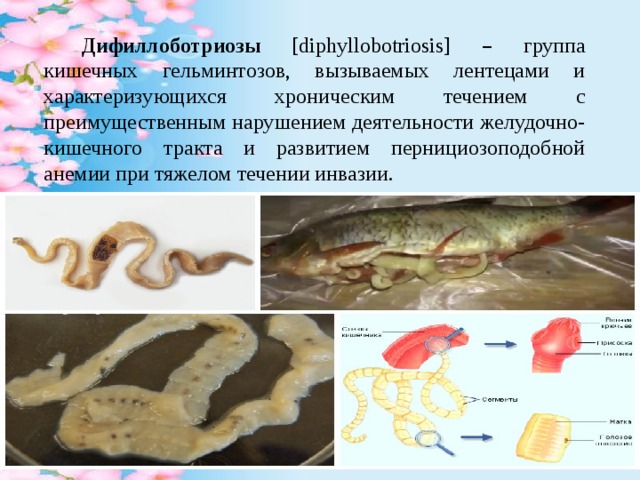 Инфекция сlostridium difficile