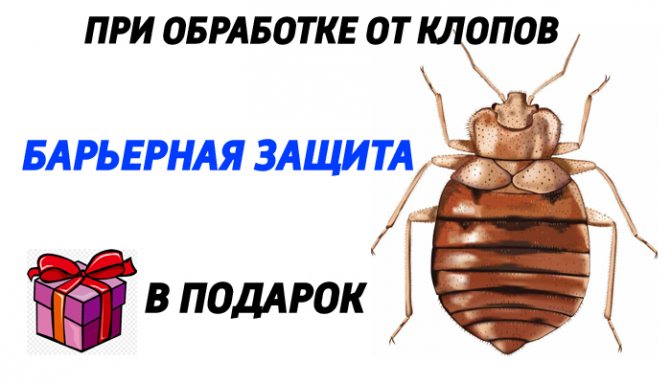 Таблетки "фас" от тараканов. средство "фас" от тараканов, клопов и других насекомых