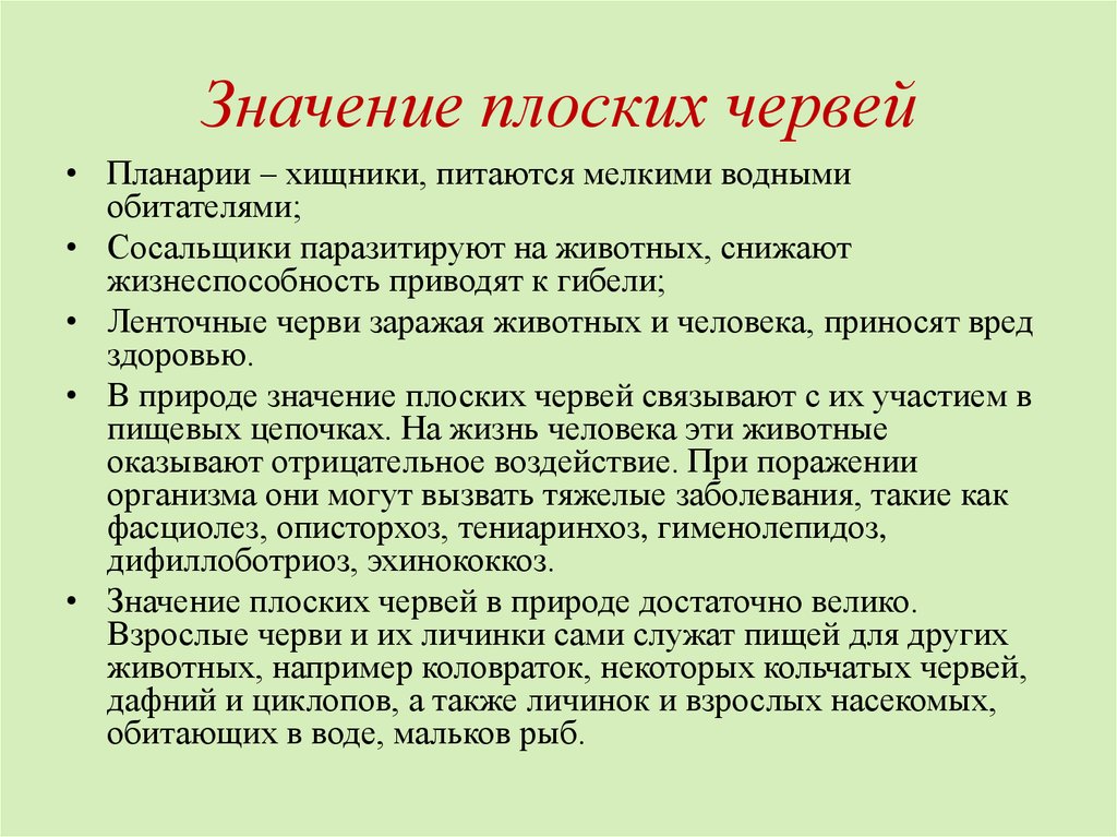 Дождевой червь. образ жизни и среда обитания дождевого червя