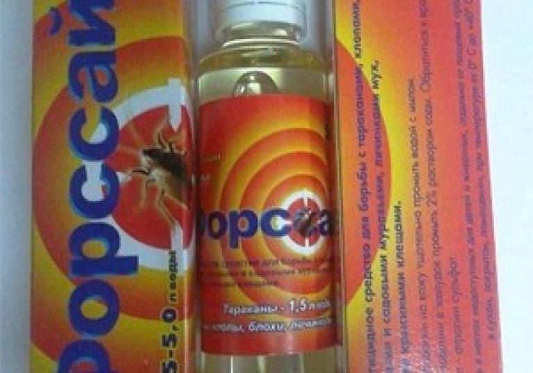Средство «форсайт» от клопов и других насекомых: 4 преимущества и 4 недостатка золотистого яда