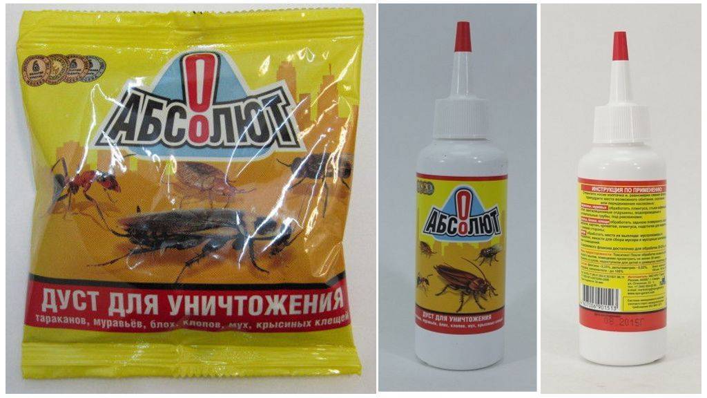 Дуст от тараканов – доступные средства для борьбы с насекомыми