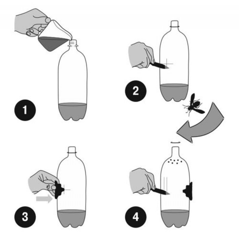 Ловушка для мух: из пластиковой бутылки, электрическая, австралийская, липкая