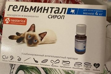 Цестал для кошек: инструкция по применению, аналоги препарата, отзывы