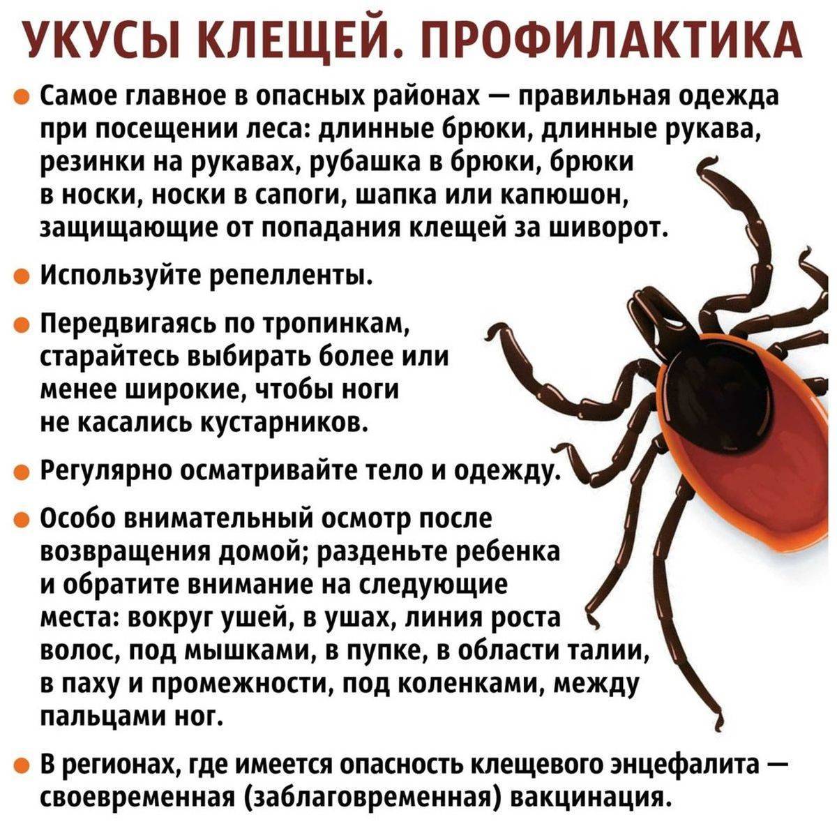Адреса лабораторий и пунктов профилактики клещевых инфекций » энцефалит.ру