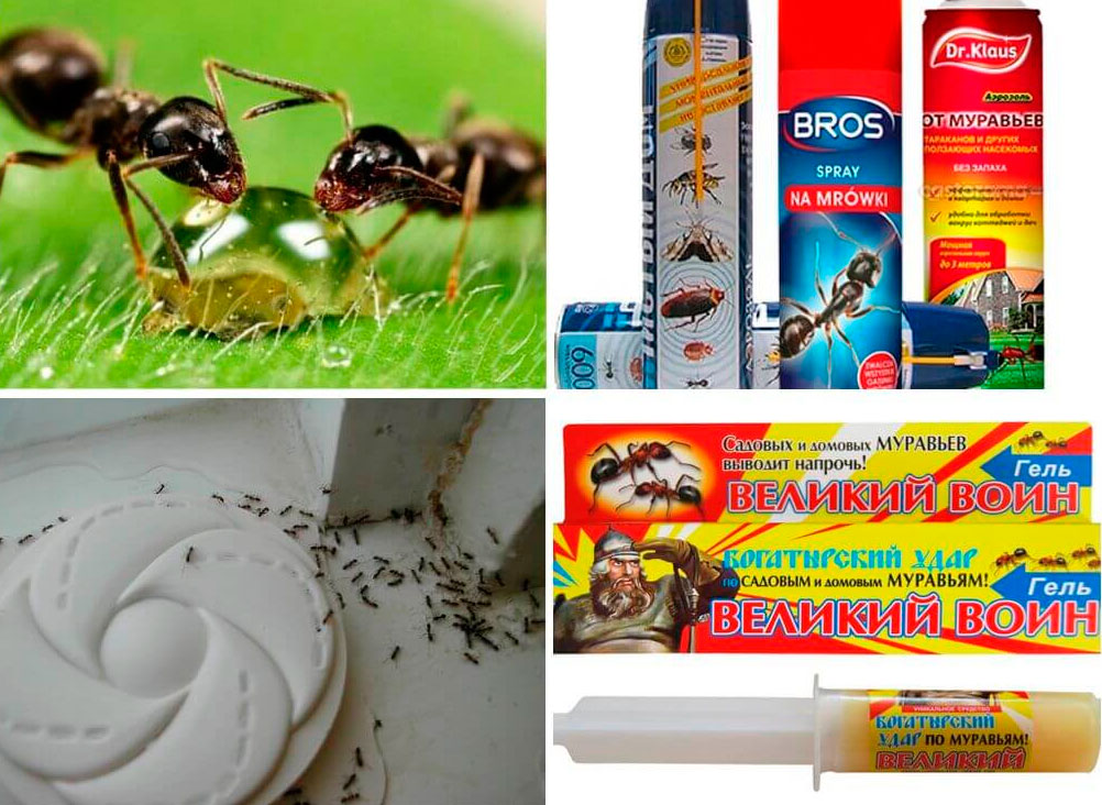 Инсектициды (препараты от муравьев) | сводная таблица