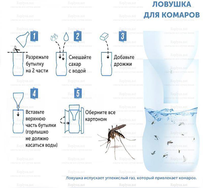 Чего не любят комары и как от них избавиться народными средствами
