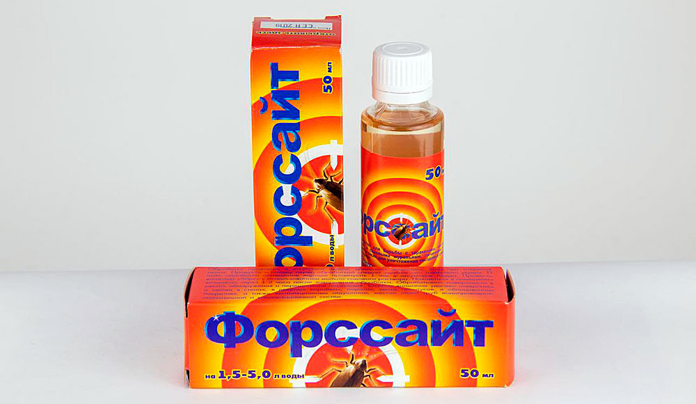 Поможет ли форсайт избавиться от клопов?