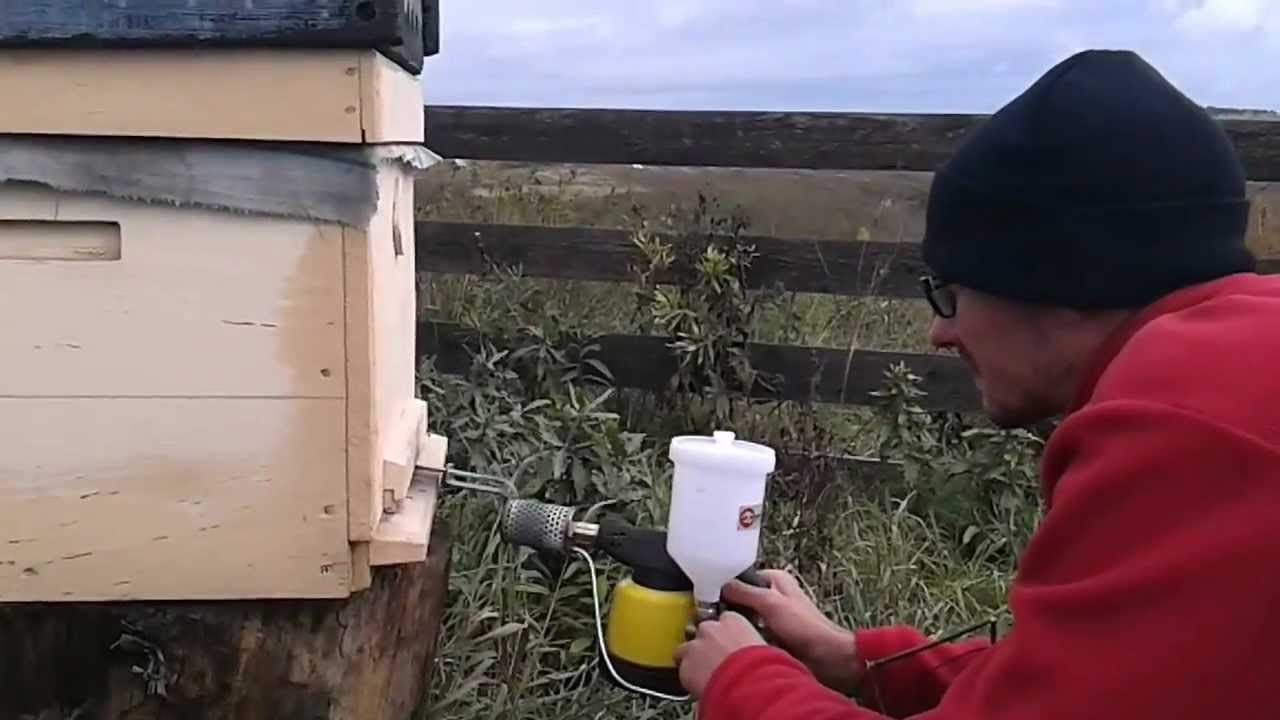 Как правильно обрабатывать пчел дымом пушкой (бипином)