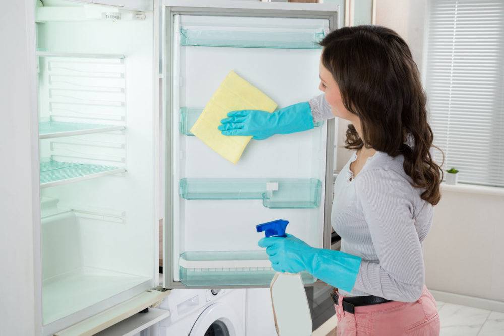 Плесень в холодильнике (грибок) — как убрать, избавиться, отмыть, чем обработать, вывести, удалить, на резинке, черная плесень, быстро, что делать, чем опасна