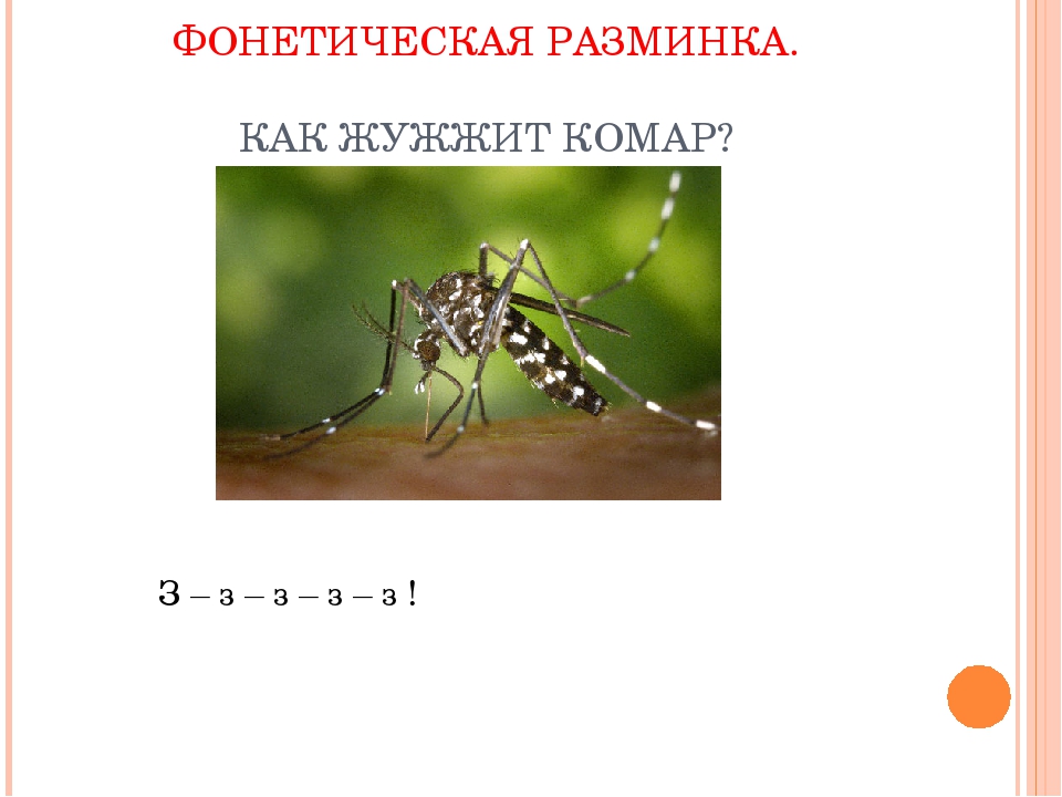 Жужжание комара. Комар пищит. Как жужжит комар. Комар жужжит над ухом.