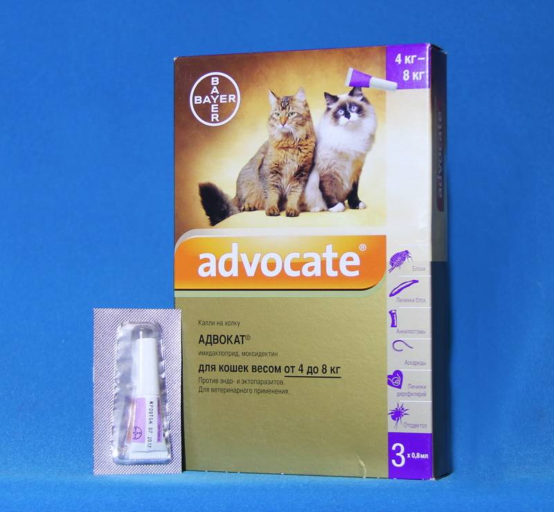 «адвокат» для кошек – обзор препарата | ваши питомцы