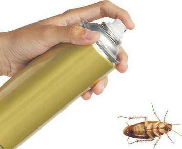Регент от тараканов – безжалостный удар по синантропным насекомым