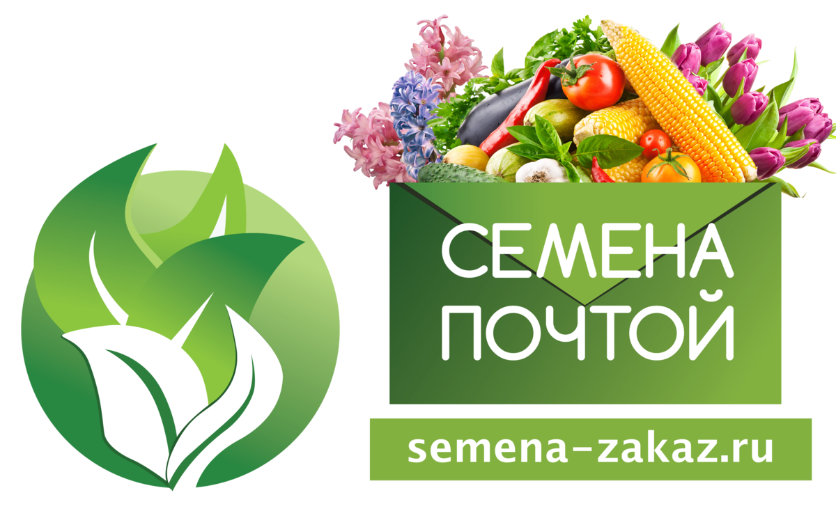 Рейтинг лучших интернет-магазинов семян и саженцев на 2023 год. обзор достоинств и недостатков