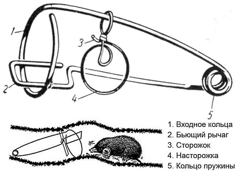 Кротоловка своими руками чертежи