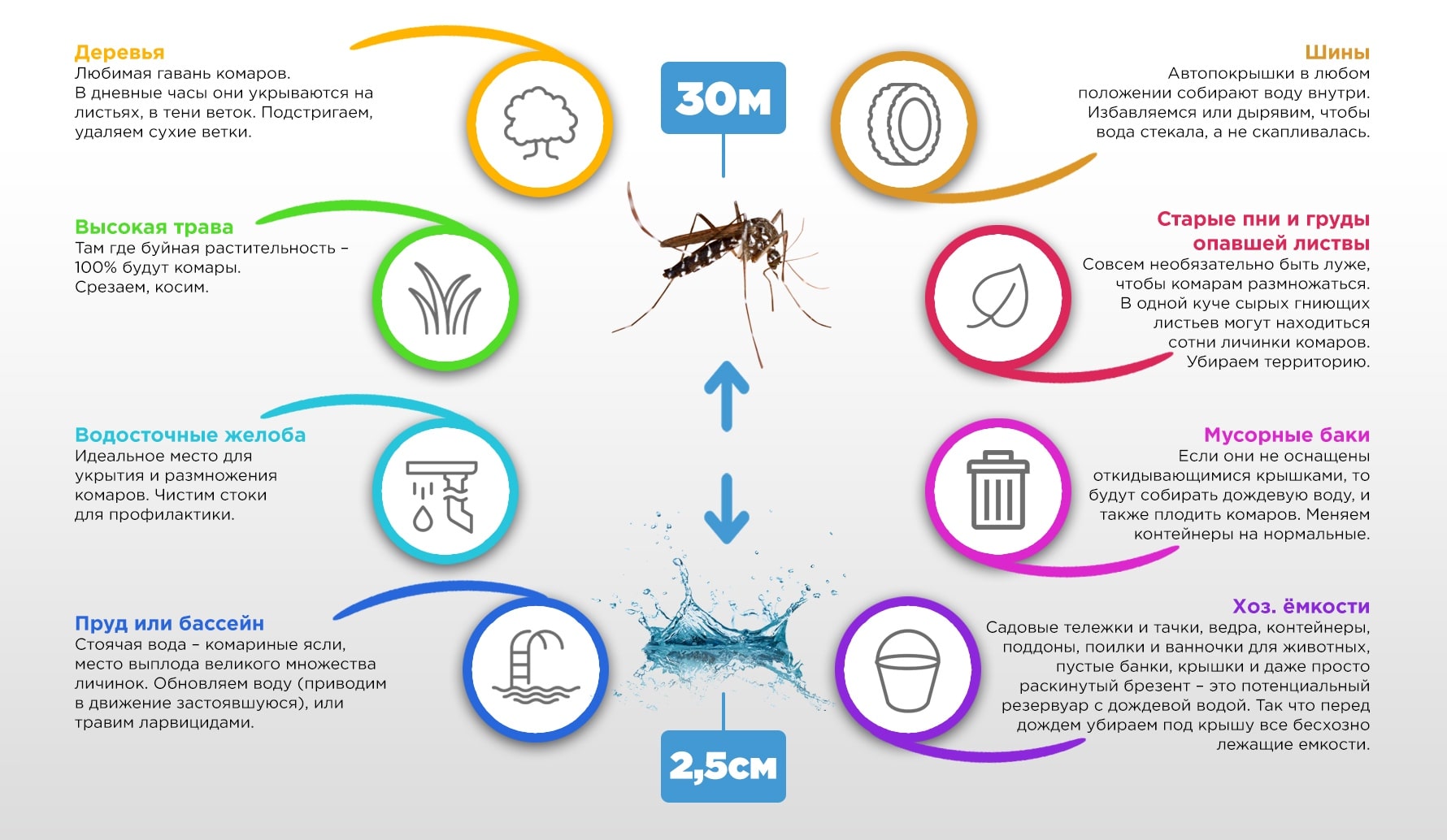 Жизненный цикл комара дергунеца и средства защиты (химические и механические)