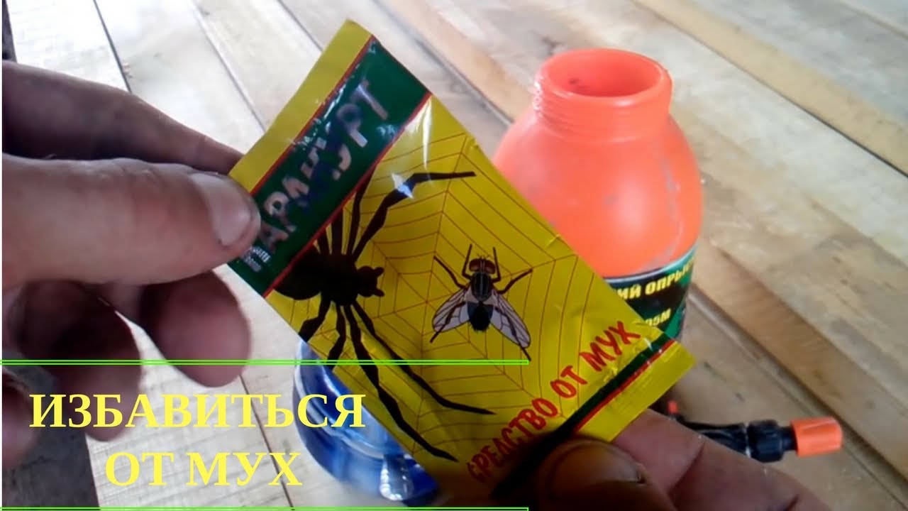 Как избавиться от мух на даче: природные средства, приборы