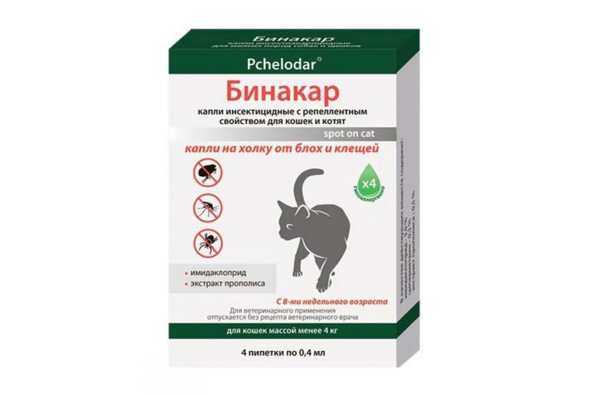Бывают ли у хомяков блохи: как выводить у джунгарских, сирийских и других видов, что делать, если появились паразиты