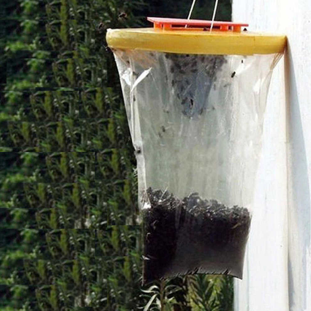 Решение проблем с мухами в доме