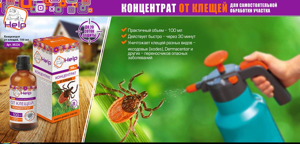 Обработка участка от комаров, выбор средств для уничтожения насекомых по периметру дачи, меры предосторожности